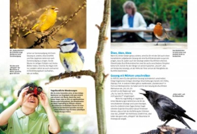 Preview: Entdecke die Singvögel